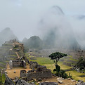 Image by Pedro Lastra