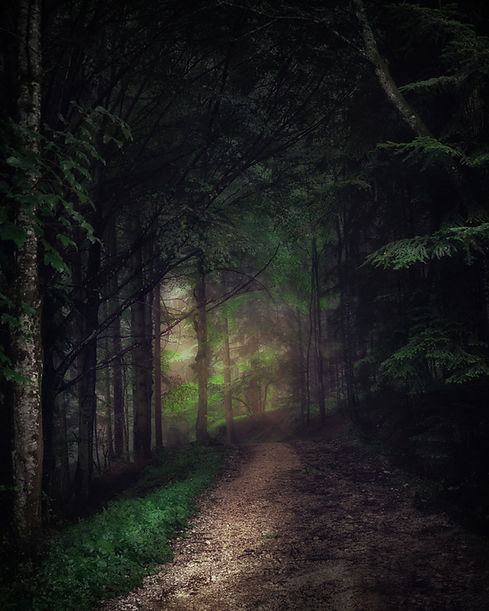 Image by Simon Berger