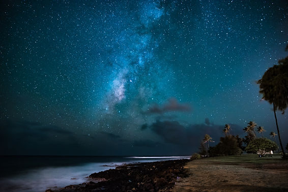 Image by Casey Horner
