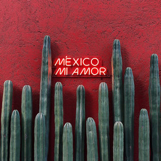 15 Curiosities of Mexico