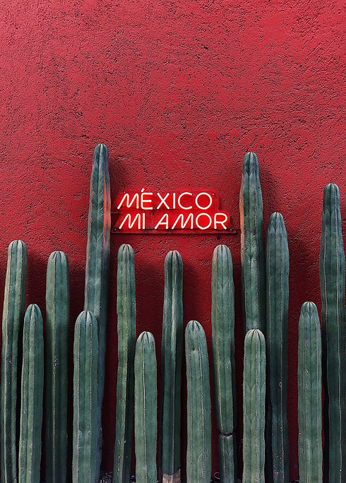 Image by Emir Saldierna