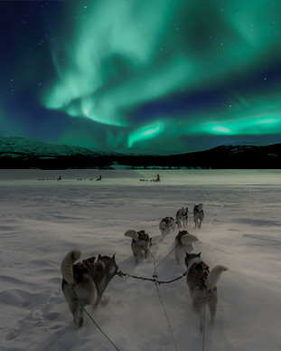 Image by Thomas Lipke