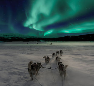 Noorderlicht vakantie husky safari zweden