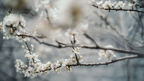 Témoignage de Nancy