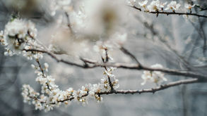 Témoignage de Nancy