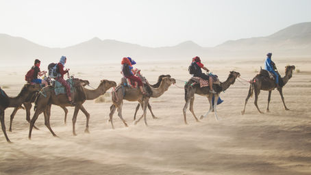 2025年全球10大最安全的國家！紐西蘭、愛爾蘭、冠軍冰島！