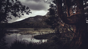 The what, why and how of natural capital finance