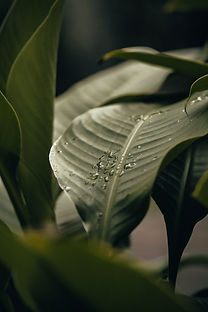 Image by Chris Yang