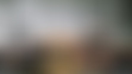 Order Monitoring: Safe and Efficient