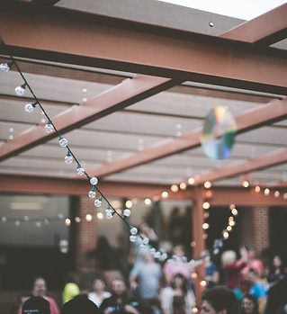 Image by Samantha Gades