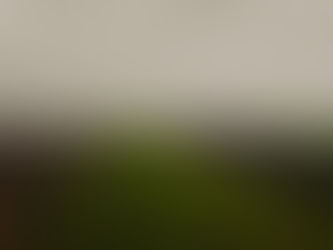 Modelarea componentei organice a solului