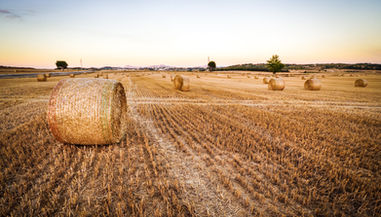 The future of farming : has France put it on hold?