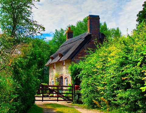 thatched cottage in trees