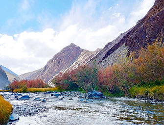 Gems of Kashmir