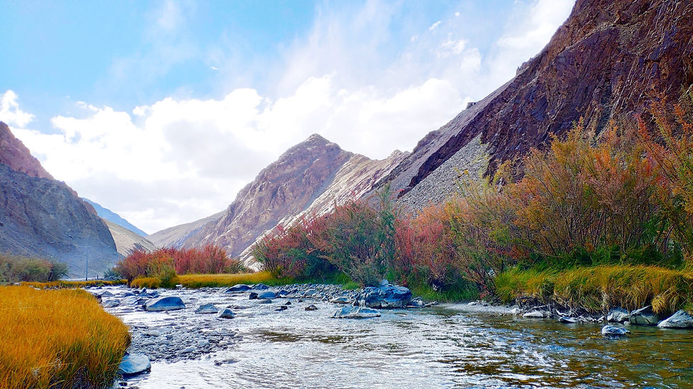 Meetime_Ladakh