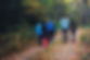 Image by Ashim D’Silva