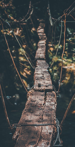 Image by Valentín Betancur