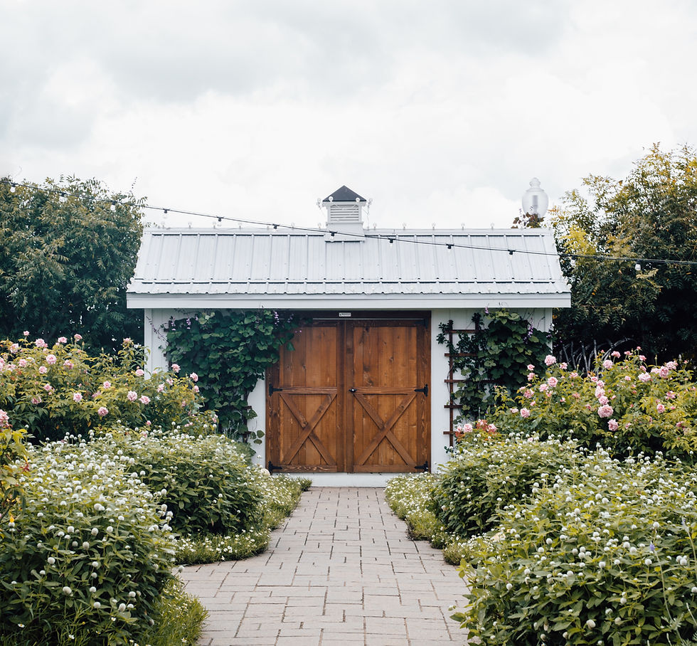 Image by Annie Shelmerdine
