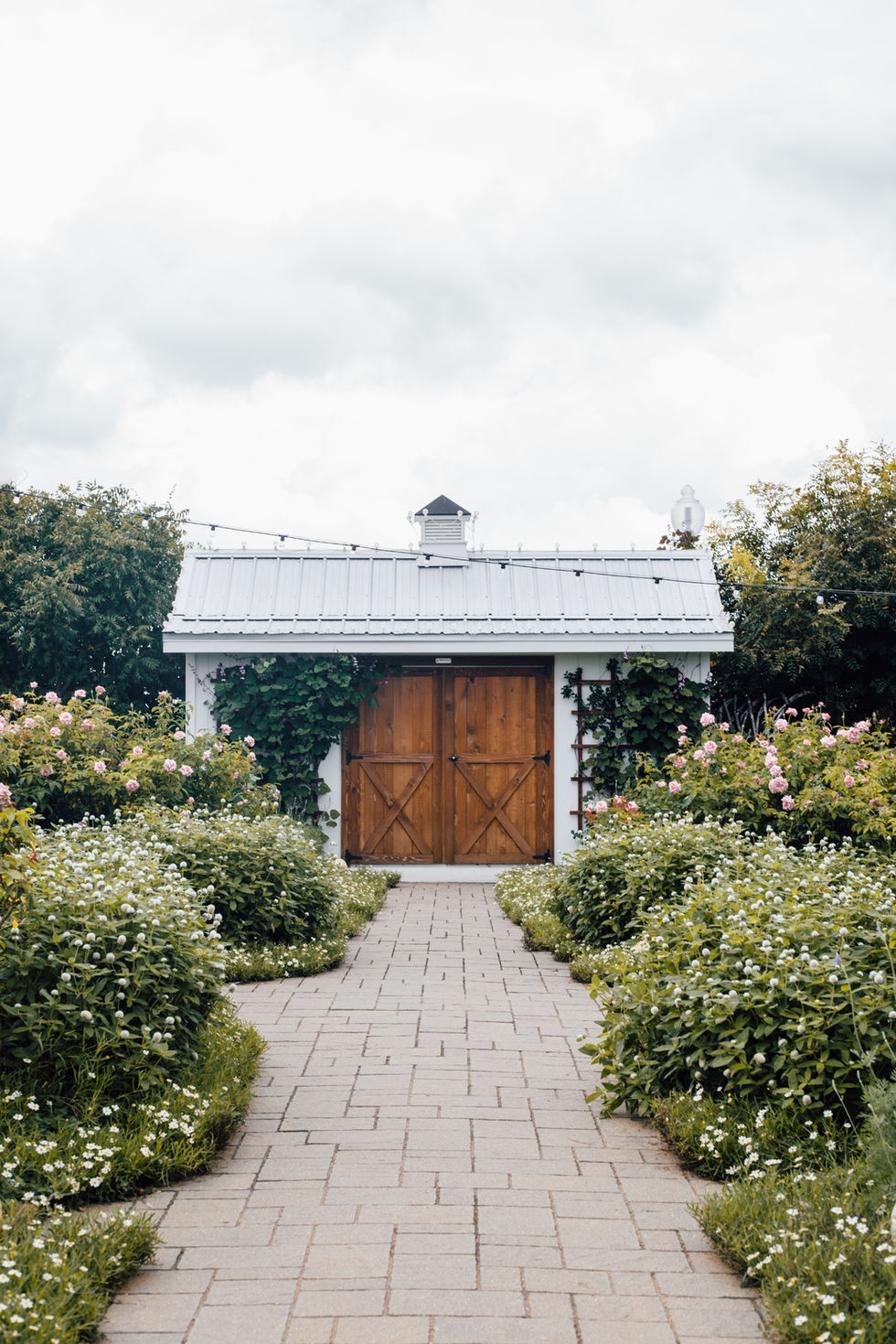 Image by Annie Shelmerdine