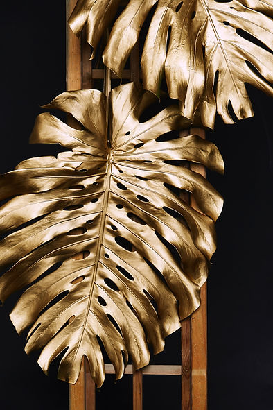 Image by Tevei Renvoyé