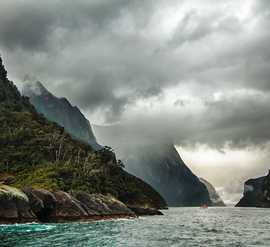 Image by Adam Edgerton
