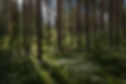 Image by Rural Explorer