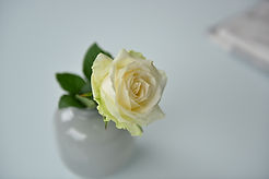 Image by The Digital Marketing Collabora