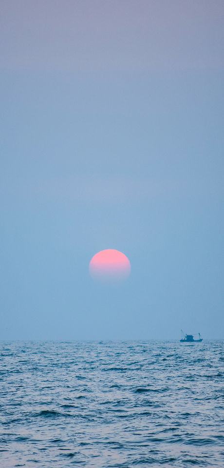 Image by Supritha Jonnavitulla
