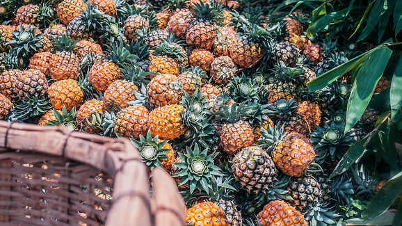 Image by Phoenix Han