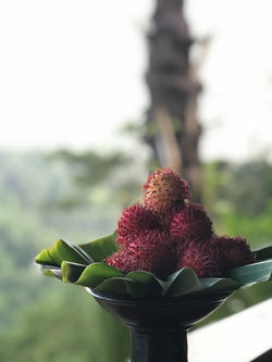 Image by Angga Siswanto