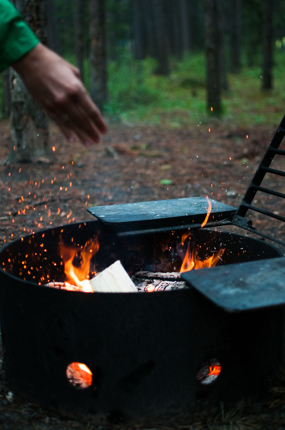 Burning debris in a forest