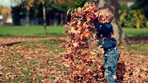 Planning Tips for Activities with Young Kids