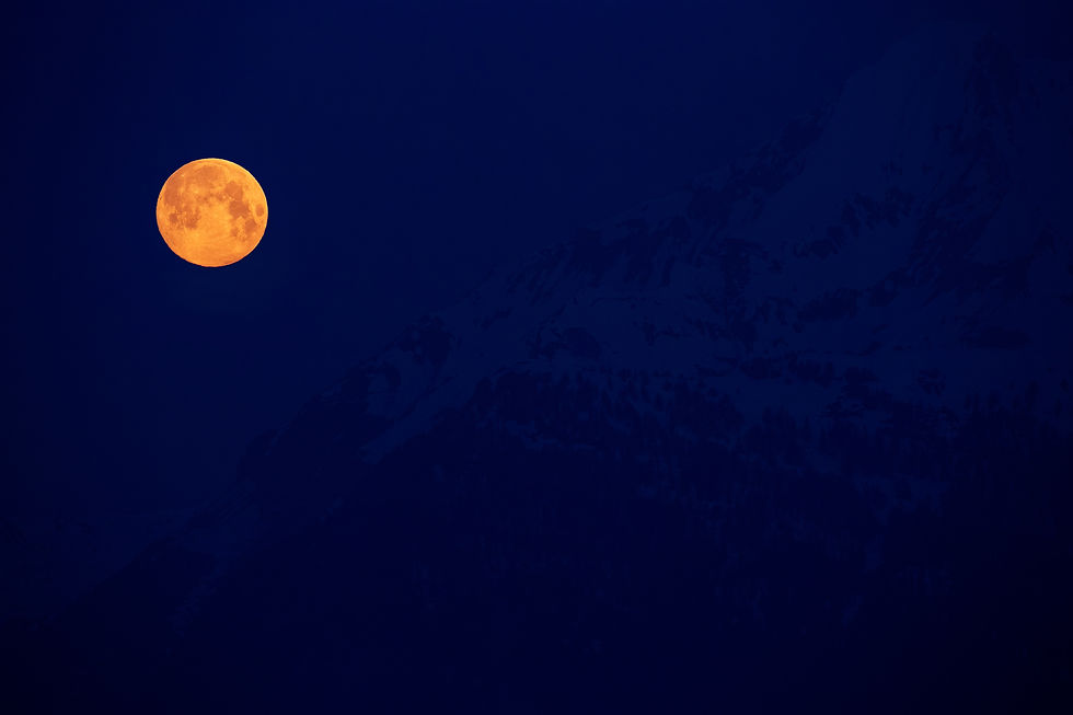 Image de Martin Adams