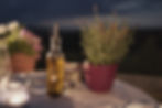 Saveurs authentiques de la Provence : ateliers de cuisine locale