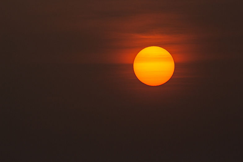 Image de Vivek Doshi