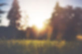 what are the benefits of mindfulness?