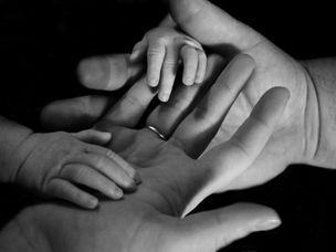 New Book Shares Next Generation Perspective On Working With Your Family