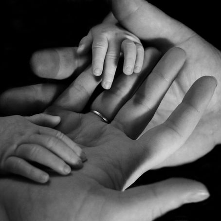 Natürliche Harmonie: Konflikte in der Familie lösen