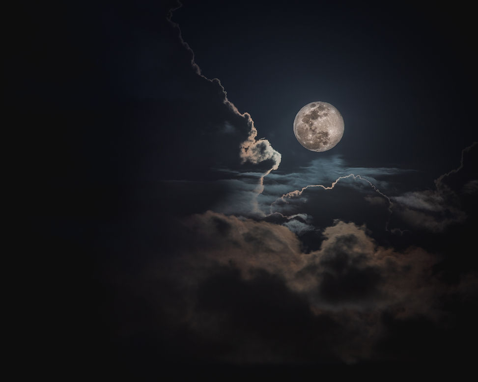 Image by Jack Taylor