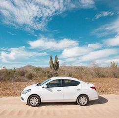 Car rental Aruba