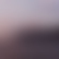 Reflections on a Transition