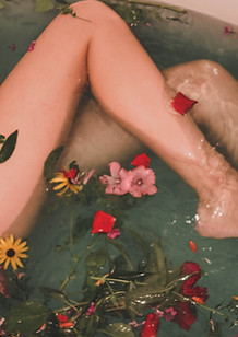 Image by Hanna Postova