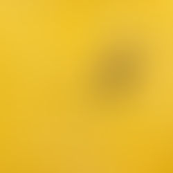 BeesWaxWrap でEco-friendly