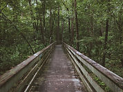 Image by Elijah M. Henderson