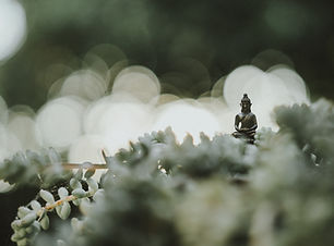 Image by Samuel Austin