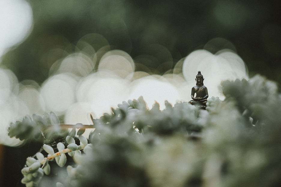 Image by Samuel Austin