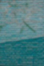 Image by Ashkan Forouzani