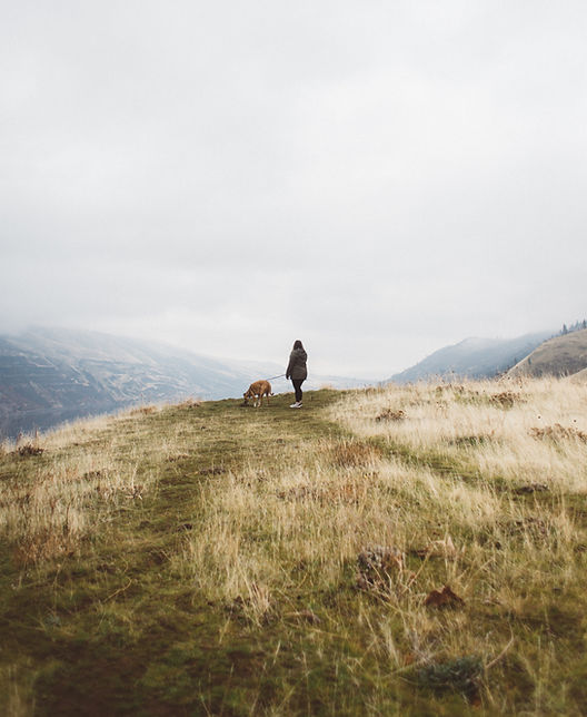 Image by Andrew Krueger