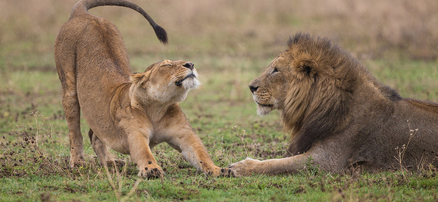 Image by jean wimmerlin