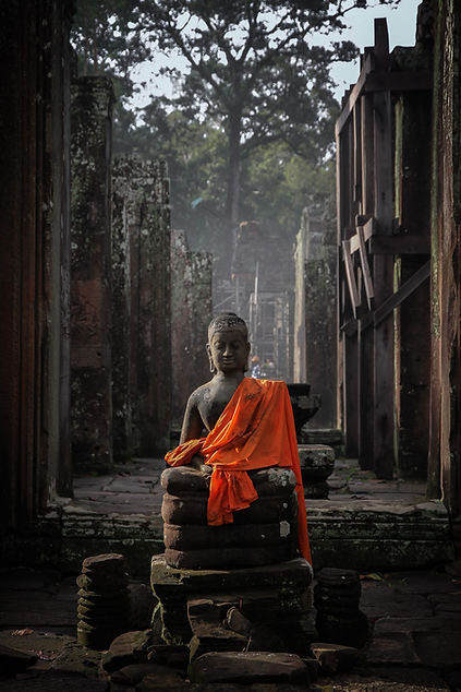 nam-hoang-zuEIVLnLXTo-unsplash_edited.jp